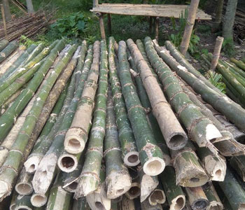 Centering Material (Poles,Scafffolding Bambu,Asam Bambu,Wooden Rafter, Ribs) Supplier in Bastora, Mapusa, Goa