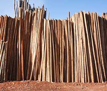 Centering Material (Poles,Scafffolding Bambu,Asam Bambu,Wooden Rafter, Ribs) Supplier in Bastora, Mapusa, Goa