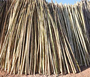 Centering Material (Poles,Scafffolding Bambu,Asam Bambu,Wooden Rafter, Ribs) Supplier in Bastora, Mapusa, Goa