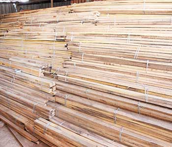 Centering Material (Poles,Scafffolding Bambu,Asam Bambu,Wooden Rafter, Ribs) Supplier in Bastora, Mapusa, Goa